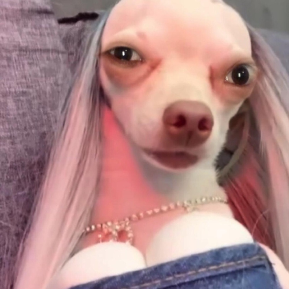 Meet your Posher, Rhenee mae